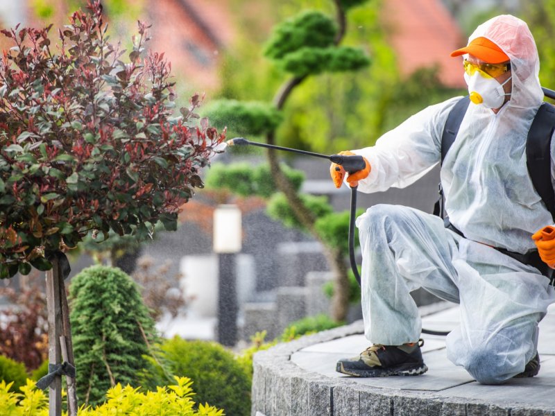 Ilıca Haşere İlaçlama